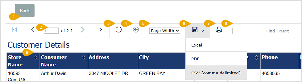 Image showing the top of the Customer Details Enterprise report page in the LifeSaver system with major functions highlighted.