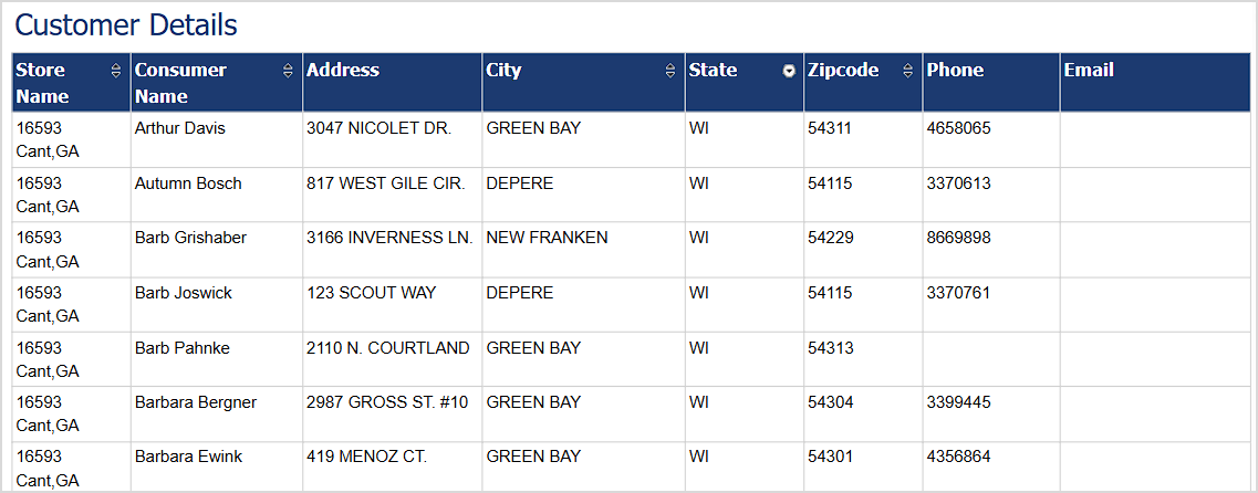 Image showing the Customer Details Enterprise report page in the LifeSaver system.