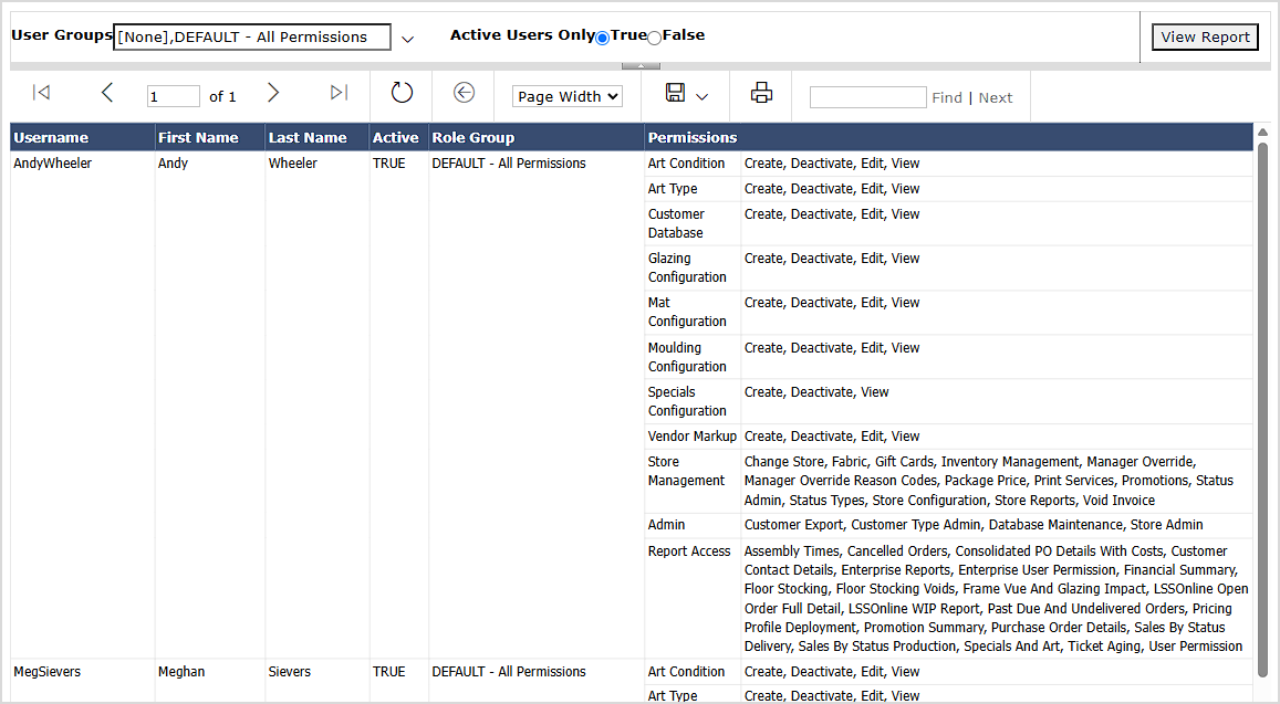 Image showing the User Permissions report page in the LifeSaver system.