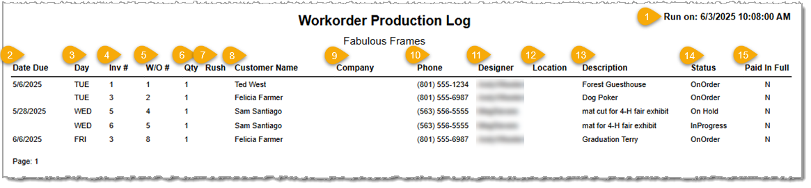 Image showing an example of the Production Log details in the LifeSaver software.