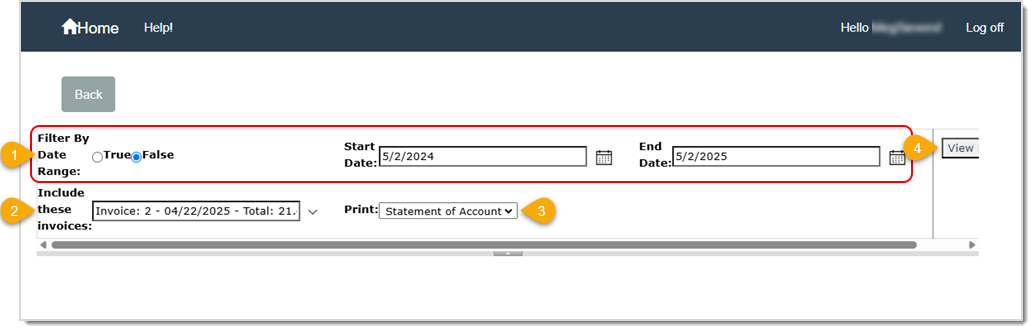 Image showing the filtering options when generating a Statement of Account for a customer in LifeSaver.