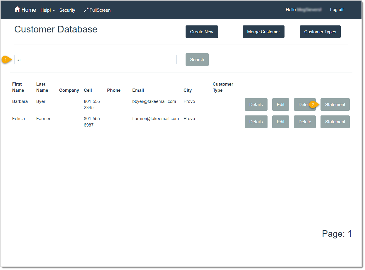 Image showing the Customer Database in LifeSaver where you can generate an account statement for a customer.