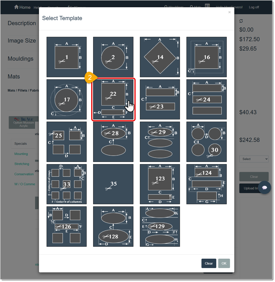 Image showing the Mat cutting template selection option in the LifeSaver software.
