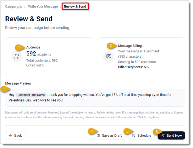 Image showing the Review & Send page of Campaign creation in the LifeSaver Software system.